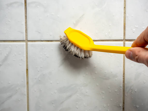 Best Mold Remediation for Schools in Houston, AK