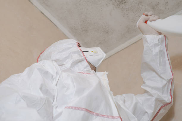 Best Bathroom Mold Remediation in Houston, AK